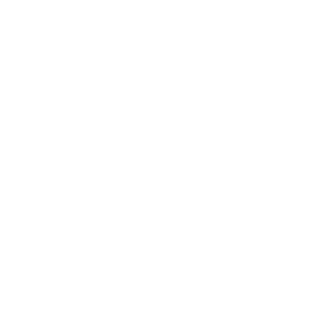 Polisportiva Team Brianza